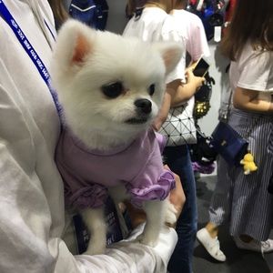 Meet your Posher, Shuang